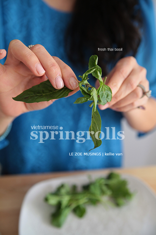 spring rolls2