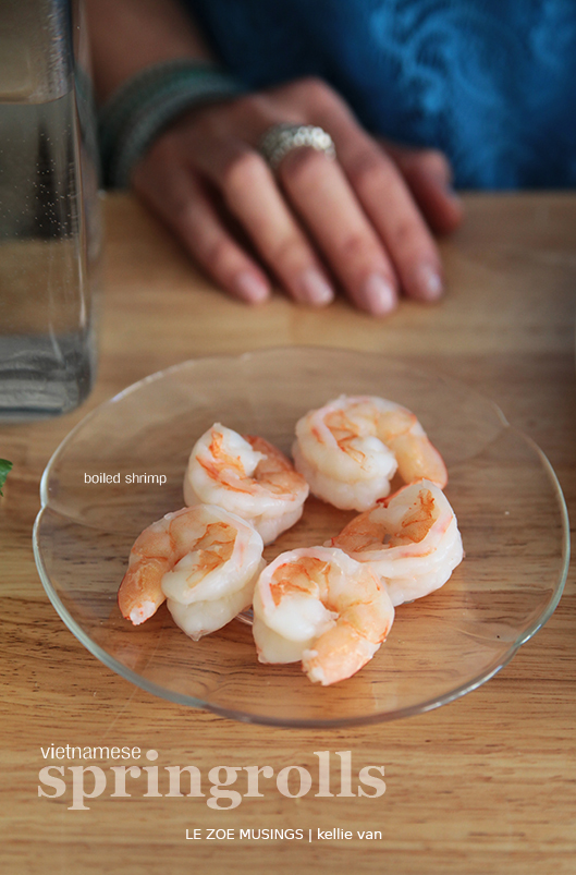 spring rolls3