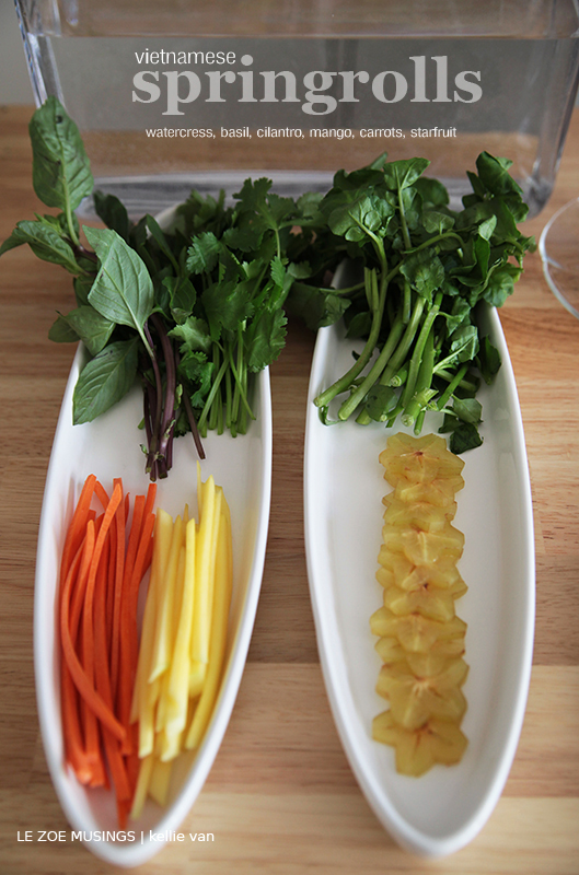 spring rolls