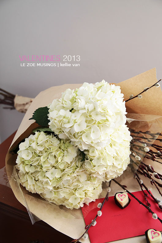 vday 2013a