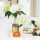 DIY: Gold Gilded Vases